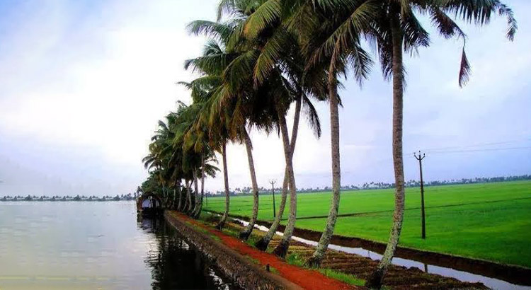 Local Village Visits
